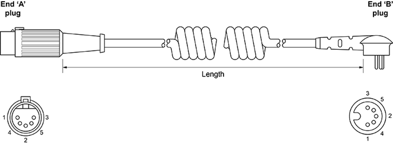pl123__49205.1579184408